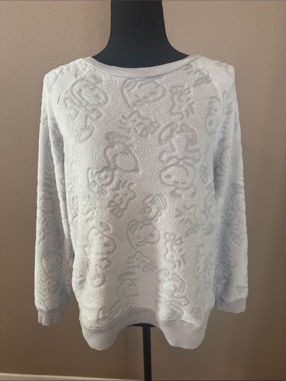 Peanuts Light Gray Crewneck Sweater for Women